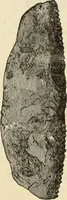 An illustration from Ilios; the city and country of the Trojans. The results of researches and discoveries on the site of Troy and throughout the Troad in the years 1871-72-73-78-79, including an autobiography of the author (1880)