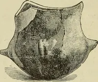 An illustration from Ilios; the city and country of the Trojans. The results of researches and discoveries on the site of Troy and throughout the Troad in the years 1871-72-73-78-79, including an autobiography of the author (1880)