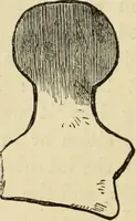 An illustration from Ilios; the city and country of the Trojans. The results of researches and discoveries on the site of Troy and throughout the Troad in the years 1871-72-73-78-79, including an autobiography of the author (1880)