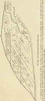 An illustration from Ilios; the city and country of the Trojans. The results of researches and discoveries on the site of Troy and throughout the Troad in the years 1871-72-73-78-79, including an autobiography of the author (1880)