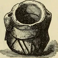 An illustration from Ilios; the city and country of the Trojans. The results of researches and discoveries on the site of Troy and throughout the Troad in the years 1871-72-73-78-79, including an autobiography of the author (1880)