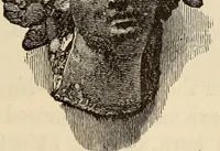 An illustration from Ilios; the city and country of the Trojans. The results of researches and discoveries on the site of Troy and throughout the Troad in the years 1871-72-73-78-79, including an autobiography of the author (1880)