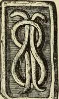 An illustration from Ilios; the city and country of the Trojans. The results of researches and discoveries on the site of Troy and throughout the Troad in the years 1871-72-73-78-79, including an autobiography of the author (1880)