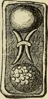 An illustration from Ilios; the city and country of the Trojans. The results of researches and discoveries on the site of Troy and throughout the Troad in the years 1871-72-73-78-79, including an autobiography of the author (1880)