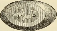 An illustration from Ilios; the city and country of the Trojans. The results of researches and discoveries on the site of Troy and throughout the Troad in the years 1871-72-73-78-79, including an autobiography of the author (1880)