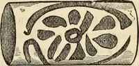An illustration from Ilios; the city and country of the Trojans. The results of researches and discoveries on the site of Troy and throughout the Troad in the years 1871-72-73-78-79, including an autobiography of the author (1880)