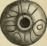 An illustration from Ilios; the city and country of the Trojans. The results of researches and discoveries on the site of Troy and throughout the Troad in the years 1871-72-73-78-79, including an autobiography of the author (1880)