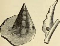An illustration from Ilios; the city and country of the Trojans. The results of researches and discoveries on the site of Troy and throughout the Troad in the years 1871-72-73-78-79, including an autobiography of the author (1880)