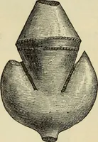 An illustration from Ilios; the city and country of the Trojans. The results of researches and discoveries on the site of Troy and throughout the Troad in the years 1871-72-73-78-79, including an autobiography of the author (1880)