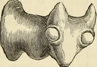 An illustration from Ilios; the city and country of the Trojans. The results of researches and discoveries on the site of Troy and throughout the Troad in the years 1871-72-73-78-79, including an autobiography of the author (1880)