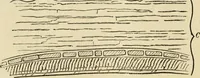 An illustration from Ilios; the city and country of the Trojans. The results of researches and discoveries on the site of Troy and throughout the Troad in the years 1871-72-73-78-79, including an autobiography of the author (1880)