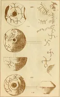 An illustration from Ilios; the city and country of the Trojans. The results of researches and discoveries on the site of Troy and throughout the Troad in the years 1871-72-73-78-79, including an autobiography of the author (1880)