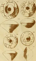An illustration from Ilios; the city and country of the Trojans. The results of researches and discoveries on the site of Troy and throughout the Troad in the years 1871-72-73-78-79, including an autobiography of the author (1880)