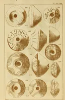 An illustration from Ilios; the city and country of the Trojans. The results of researches and discoveries on the site of Troy and throughout the Troad in the years 1871-72-73-78-79, including an autobiography of the author (1880)