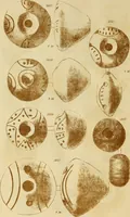 An illustration from Ilios; the city and country of the Trojans. The results of researches and discoveries on the site of Troy and throughout the Troad in the years 1871-72-73-78-79, including an autobiography of the author (1880)