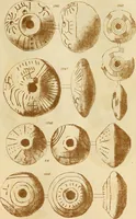 An illustration from Ilios; the city and country of the Trojans. The results of researches and discoveries on the site of Troy and throughout the Troad in the years 1871-72-73-78-79, including an autobiography of the author (1880)