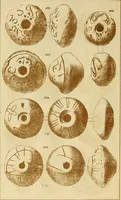 An illustration from Ilios; the city and country of the Trojans. The results of researches and discoveries on the site of Troy and throughout the Troad in the years 1871-72-73-78-79, including an autobiography of the author (1880)