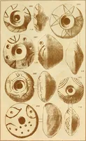An illustration from Ilios; the city and country of the Trojans. The results of researches and discoveries on the site of Troy and throughout the Troad in the years 1871-72-73-78-79, including an autobiography of the author (1880)