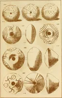 An illustration from Ilios; the city and country of the Trojans. The results of researches and discoveries on the site of Troy and throughout the Troad in the years 1871-72-73-78-79, including an autobiography of the author (1880)