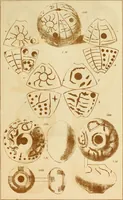 An illustration from Ilios; the city and country of the Trojans. The results of researches and discoveries on the site of Troy and throughout the Troad in the years 1871-72-73-78-79, including an autobiography of the author (1880)