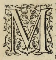Picture 3 of 11 from I. LipsI Satvrnalivm sermonvm libri dvo, qui De gladiatoribus (1585), leaf 13