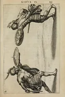 An illustration from I. LipsI Satvrnalivm sermonvm libri dvo, qui De gladiatoribus (1585)