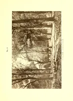 An illustration from Illustrated catalogue of the important collection of paintings, water colors, pastels, drawings and prints collected by the Japanese connoisseur the late Tadamasa Hayashi of Tokyo, Japan, chief commissioner for the Japanese goverment to the exhibition universelle, Paris, 1900 (1913)