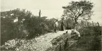 An illustration from Il Lago di Garda; (1904)