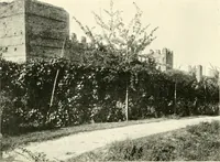 Picture 125 of 130 from Il Lago di Garda; (1904), leaf 147