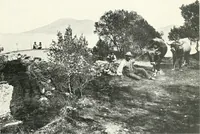 An illustration from Il Lago di Garda; (1904)