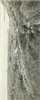 An illustration from Il Lago di Garda; (1904)