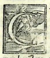 Picture 6 of 7 from Il lanzi : comedia (1566), leaf 53