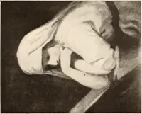 An illustration from Illustrated catalogue of the eigth [sic] series of 100 paintings by old masters of the Dutch, Flemish, Italian, French, and English schools : being a portion of the Sedelmeyer Gallery which contains about 1500 original pictures by ancient and modern artists (1902)