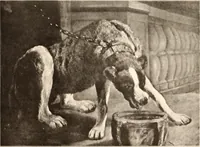 Picture 13 of 97 from Illustrated catalogue of the eigth [sic] series of 100 paintings by old masters of the Dutch, Flemish, Italian, French, and English schools : being a portion of the Sedelmeyer Gallery which contains about 1500 original pictures by ancient and modern artists (1902), leaf 30