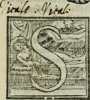 An illustration from Il libro della bella donna (1554)