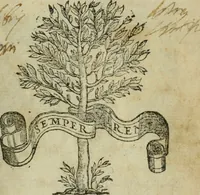 An illustration from Il libro della bella donna (1554)