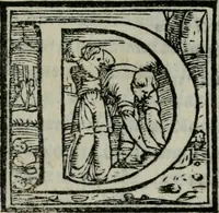 An illustration from Il libro della bella donna (1554)