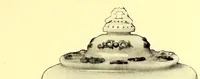 Picture 6 of 18 from Illustrated catalogue of the remarkable collection of the Imperial Prince Kung of China, A wonderful treasury of celestial art : recently acquired by the widely known firm of Yamanaka & Company (1913), leaf 77