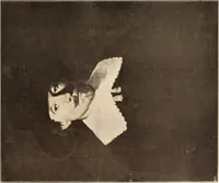An illustration from Illustrated catalogue of the tenth series of 100 paintings by old masters of the Dutch, Flemish, Italian, French, and English schools, being a portion of the Sedelmeyer gallery which contains about 1500 original pictures by ancient and modern artists (1906)