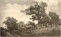 An illustration from Illustrated catalogue of the tenth series of 100 paintings by old masters of the Dutch, Flemish, Italian, French, and English schools, being a portion of the Sedelmeyer gallery which contains about 1500 original pictures by ancient and modern artists (1906)