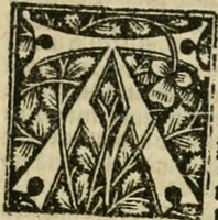 An illustration from Illuminati sacre pagine p.fessoris amplissimi magistri Raymundi Lull. Ars magna, generalis et vltima : quarucunq3 artium [et] scientiarum ipsius Lull. assecutrix et clauigera : [et] ad eas aditum faciliore prebes, antehac nusq3 arti impressorie emuctius cõmendata (1517)