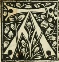 Picture 3 of 25 from Illuminati sacre pagine p.fessoris amplissimi magistri Raymundi Lull. Ars magna, generalis et vltima : quarucunq3 artium [et] scientiarum ipsius Lull. assecutrix et clauigera : [et] ad eas aditum faciliore prebes, antehac nusq3 arti impressorie emuctius cõmendata (1517), leaf 32