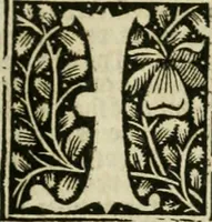 Picture 9 of 25 from Illuminati sacre pagine p.fessoris amplissimi magistri Raymundi Lull. Ars magna, generalis et vltima : quarucunq3 artium [et] scientiarum ipsius Lull. assecutrix et clauigera : [et] ad eas aditum faciliore prebes, antehac nusq3 arti impressorie emuctius cõmendata (1517), leaf 40