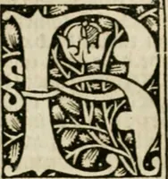 Picture 10 of 25 from Illuminati sacre pagine p.fessoris amplissimi magistri Raymundi Lull. Ars magna, generalis et vltima : quarucunq3 artium [et] scientiarum ipsius Lull. assecutrix et clauigera : [et] ad eas aditum faciliore prebes, antehac nusq3 arti impressorie emuctius cõmendata (1517), leaf 41