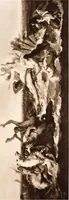 An illustration from Illustrated catalogue of the twelfth series of 100 paintings by old masters of the Dutch, Flemish, Italian, French, and English schools, being a portion of the Sedelmeyer Gallery : containing also a general index of the 1500 pictures described in the 13 catalogues of the Sedelmeyer Gallery published to date (1913)