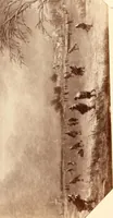 An illustration from Illustrated catalogue of the second hundred of paintings by old masters of the Dutch, Flemish, Italian, French and English schools belonging to the Sedelmeyer Gallery .. (1895)