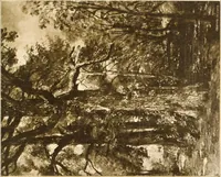 An illustration from Illustrated catalogue of the second hundred of paintings by old masters of the Dutch, Flemish, Italian, French and English schools belonging to the Sedelmeyer Gallery .. (1895)