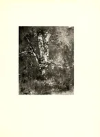 An illustration from Illustrated catalogue of oil and water color paintings by Dutch, French, English, American and Italian artists : belonging to the estate of the late James S. Inglis to be sold at unrestricted public sale by order of Mrs. Inglis, executrice on the evenings Herein stated (1910)