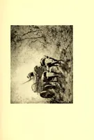 Picture 10 of 18 from Illustrated catalogue of the collection of American paintings : formed by the widely known amateur William T. Evans, Esq. of New York (1913), leaf 245