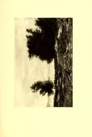 An illustration from Illustrated catalogue of the collection of American paintings : formed by the widely known amateur William T. Evans, Esq. of New York (1913)